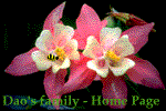 Dao's Family - Home Page